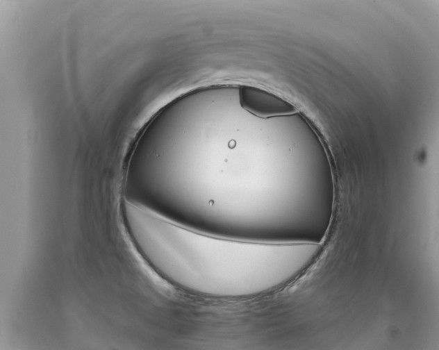 X0000090721525200707201002