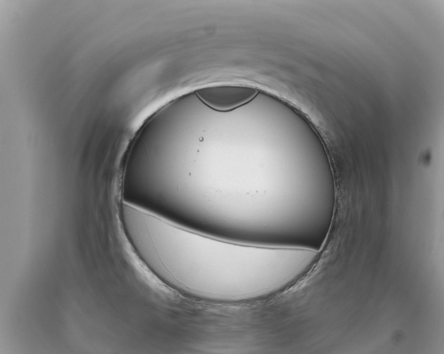 X0000090721526200707201002