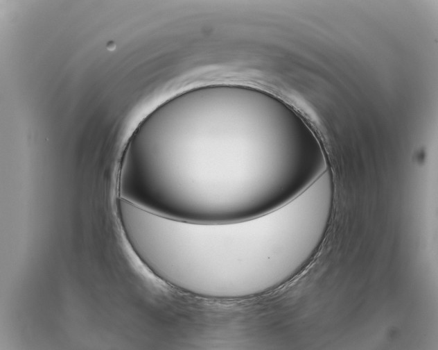 X0000090721528200707201002