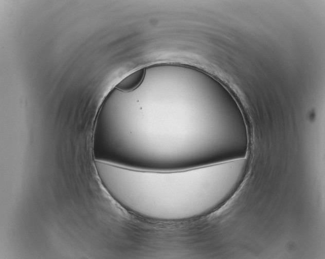 X0000090721529200707201002