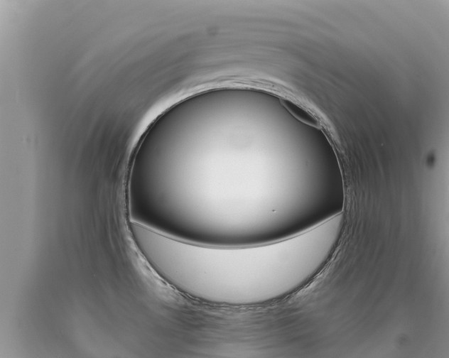 X0000090721530200707201002