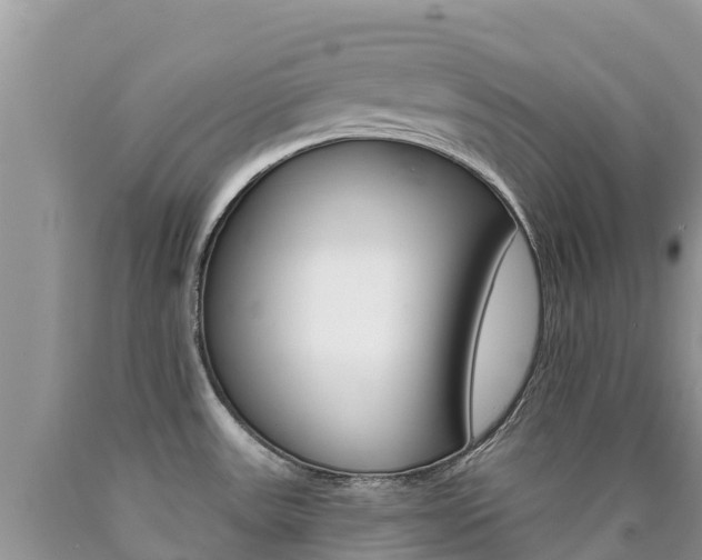 X0000090721531200707201003