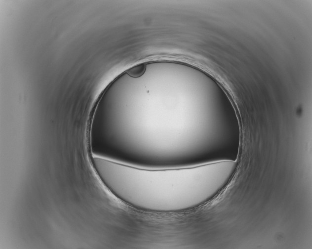 X0000090721533200707201003