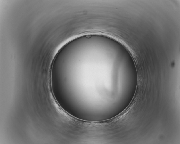 X0000090721534200707201003