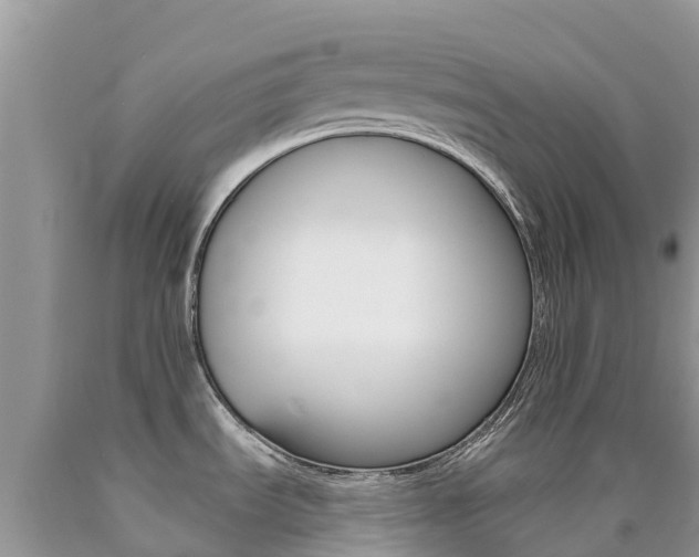 X0000090721535200707201003