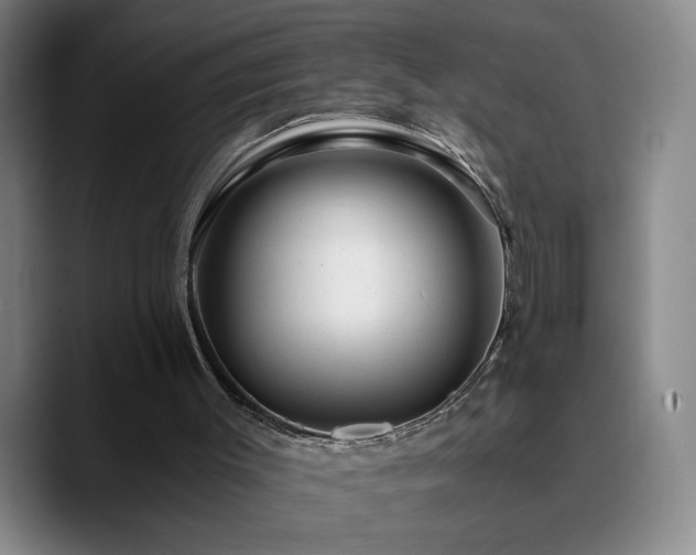 X0000090720003200707201358