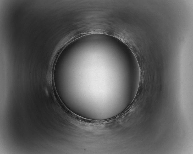 X0000090720004200707201358