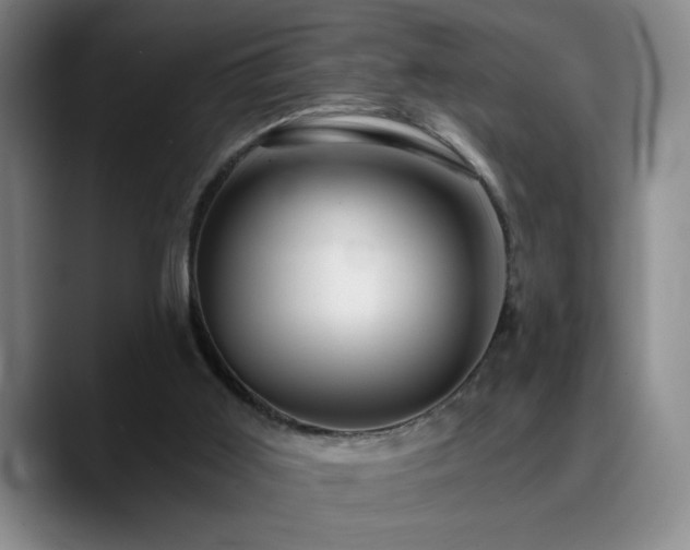 X0000090720011200707201358