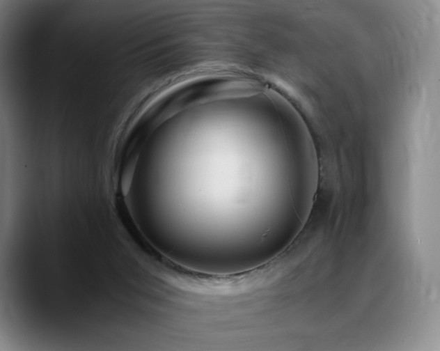 X0000090720015200707201358