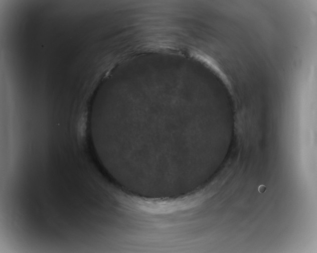 X0000090720018200707201358