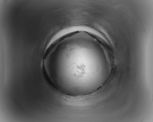 X0000090720019200707201358