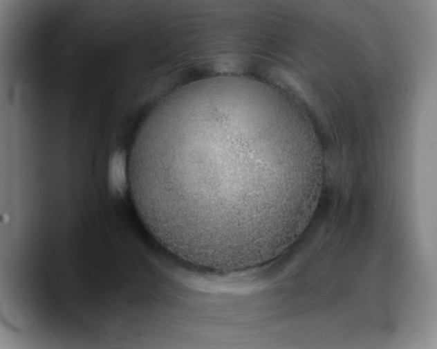 X0000090720028200707201357