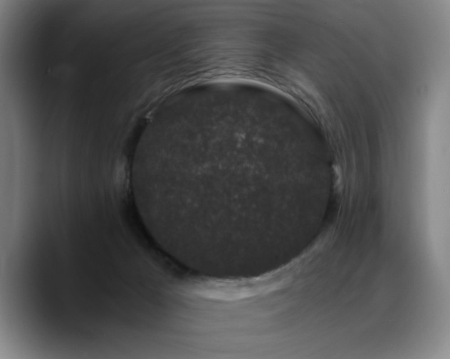 X0000090720029200707201357