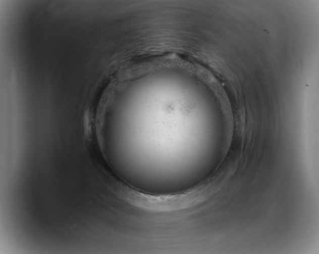 X0000090720038200707201357