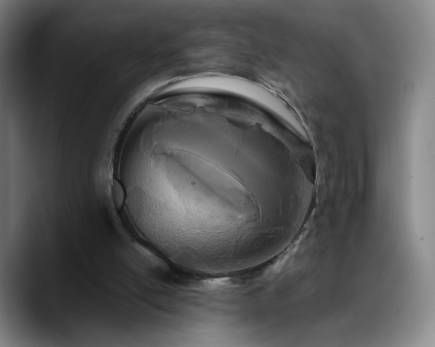 X0000090720054200707201357