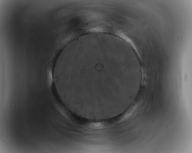 X0000090720061200707201357