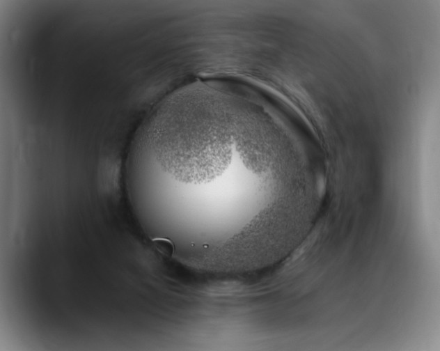 X0000090720066200707201357