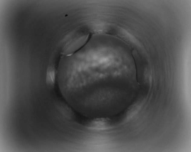 X0000090720076200707201357