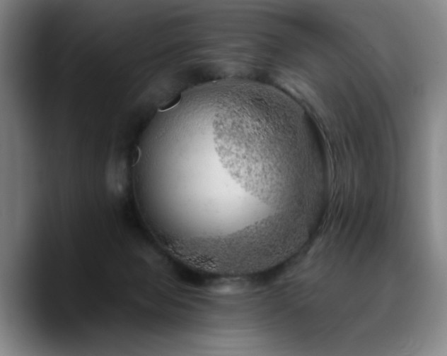 X0000090720077200707201357
