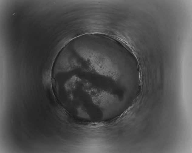 X0000090720099200707201356