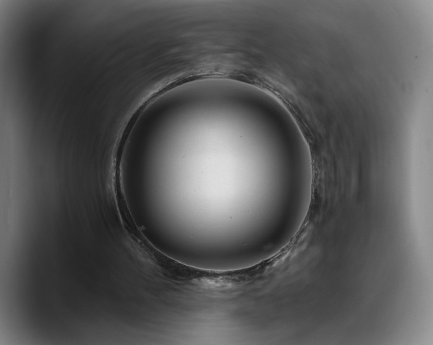 X0000090720100200707201356