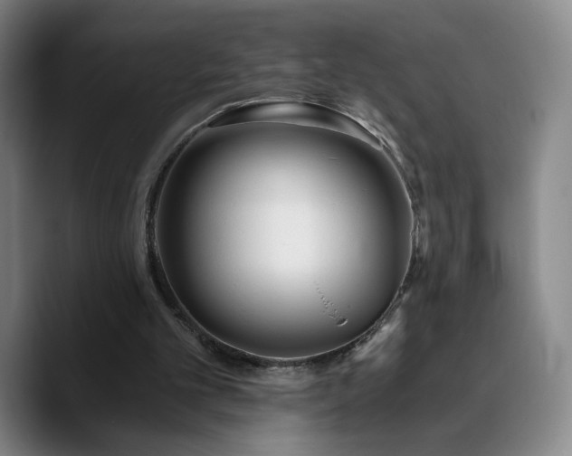X0000090720101200707201356
