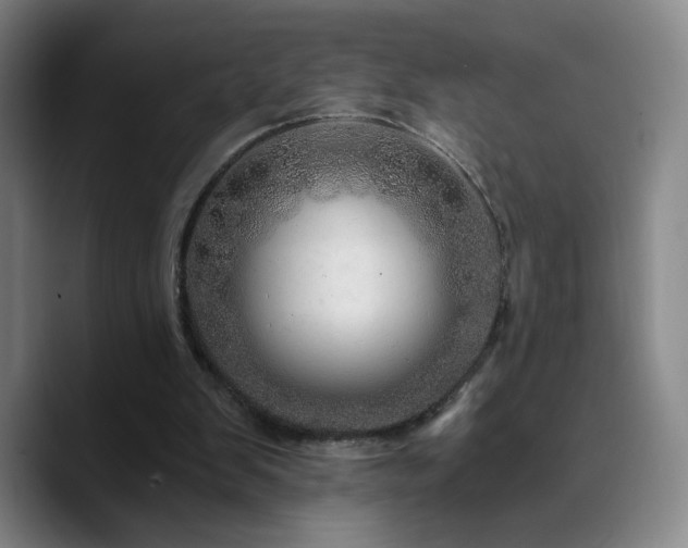 X0000090720103200707201356