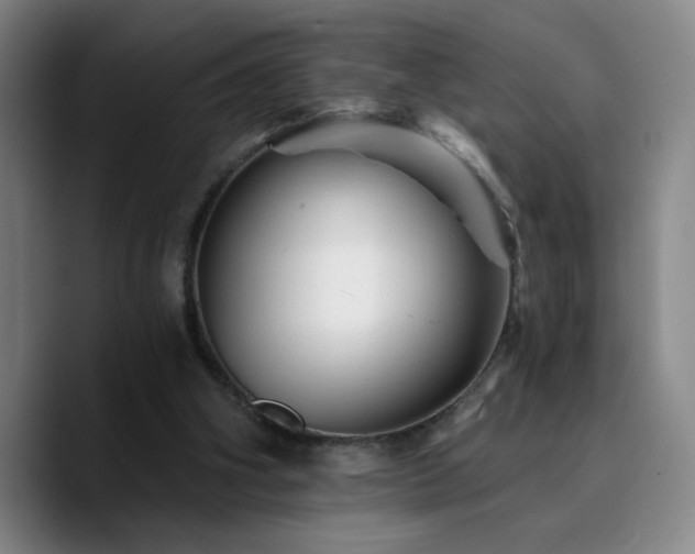 X0000090720106200707201356