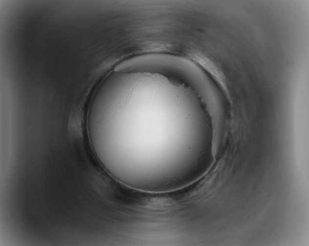 X0000090720107200707201356