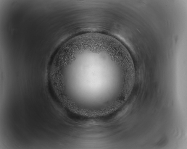 X0000090720111200707201356