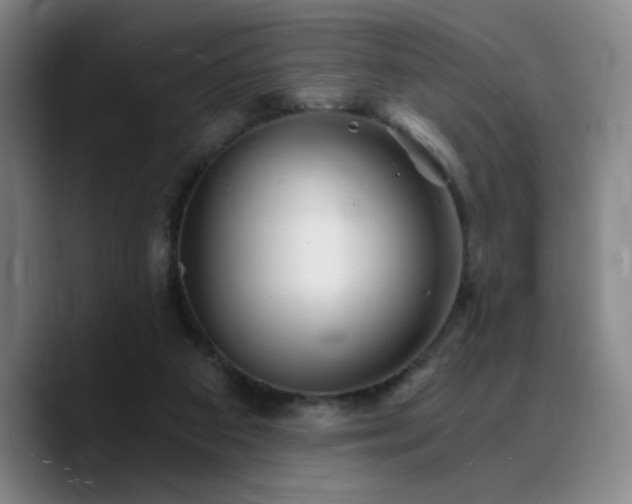 X0000090720113200707201356
