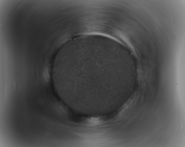 X0000090720114200707201356