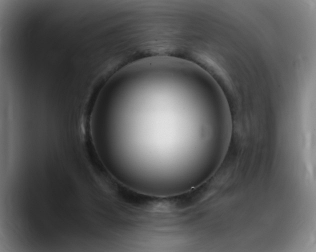 X0000090720115200707201356