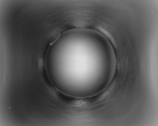 X0000090720117200707201356