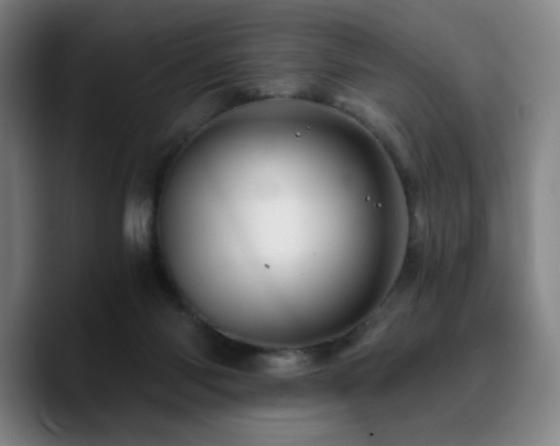 X0000090720118200707201356
