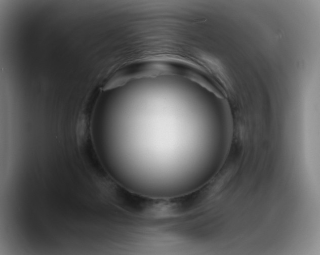 X0000090720121200707201356