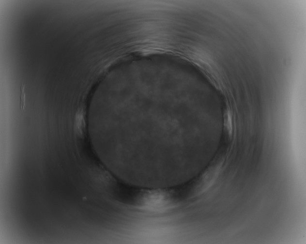 X0000090720127200707201356