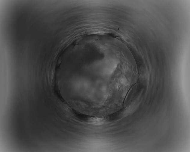 X0000090720139200707201356