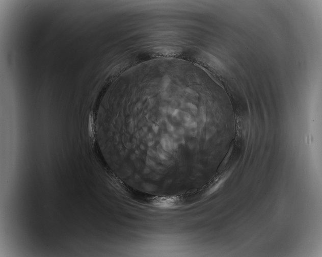 X0000090720143200707201356