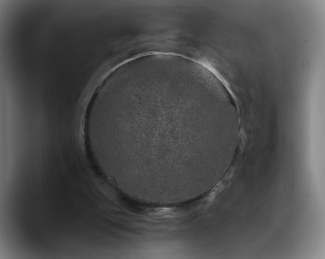 X0000090720151200707201355