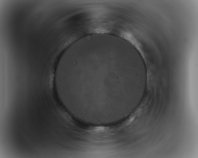 X0000090720153200707201355
