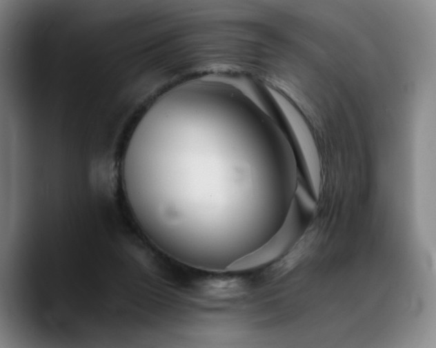 X0000090720160200707201355