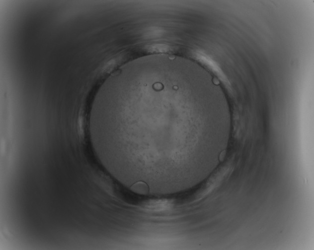 X0000090720161200707201355