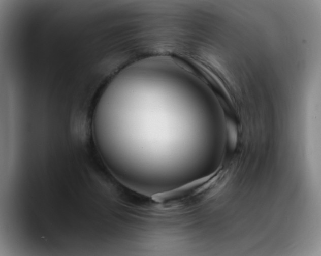 X0000090720164200707201356