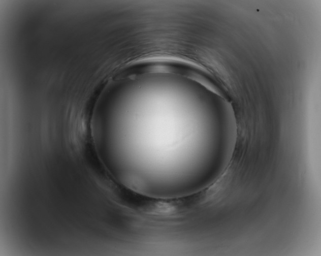 X0000090720166200707201356