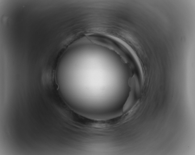 X0000090720168200707201356