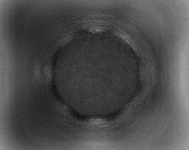 X0000090720169200707201356
