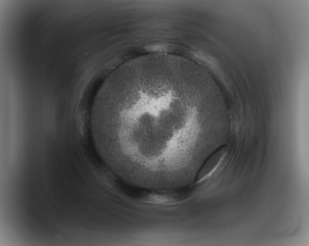 X0000090720171200707201356