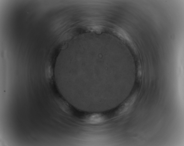 X0000090720173200707201356