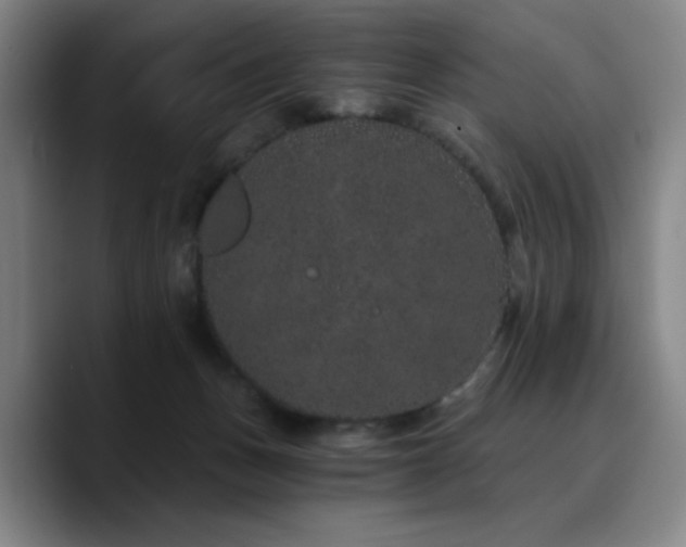 X0000090720175200707201356